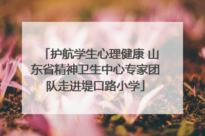 护航学生心理健康 山东省精神卫生中心专家团队走进堤口路小学